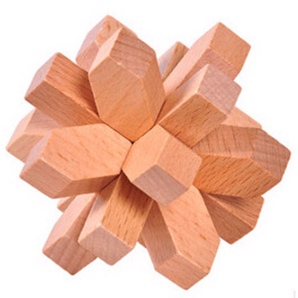Classic IQ Brain Teaser 3D Wooden Puzzles - FREE Shipping