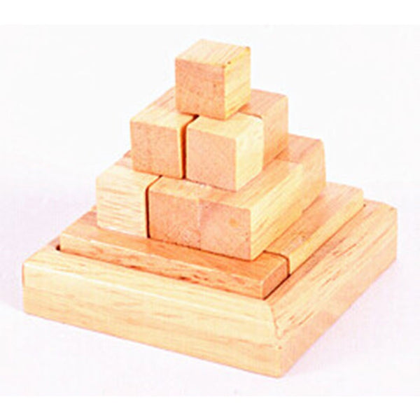 Classic IQ Brain Teaser 3D Wooden Puzzles - FREE Shipping